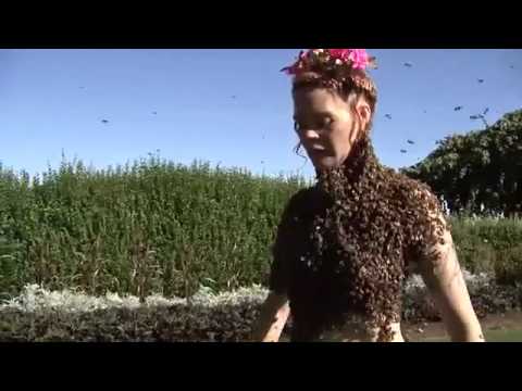 Bee Queen   Bee Dancer