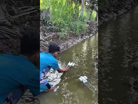 Test bobo chế độ mới chạy xa không?