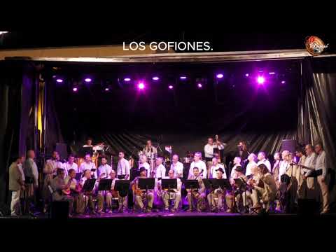 LOS GOFIONES. G. CANARIA.