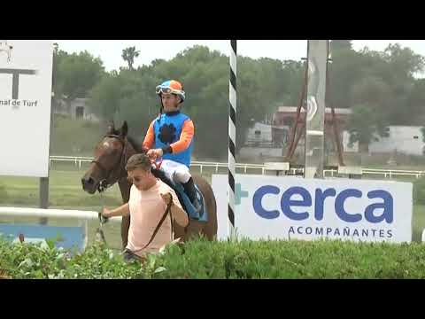 SINT COLONIA -  221113 c04 - 1° PEKOS ZIMMER