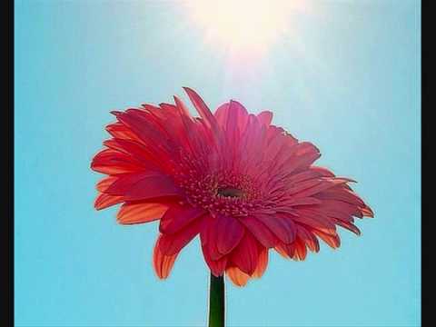 Thumbnail for When Life Gets Broken video