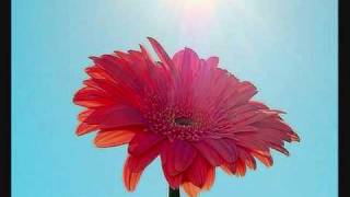 When Life Gets Broken