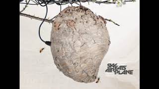 Sky Eats Airplane - The Artificial