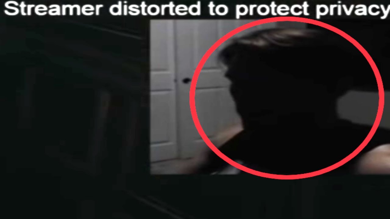 Who is the secret streamer? (Rare Jerma985 bit)