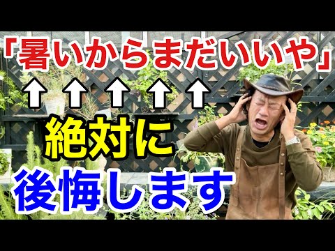 凍らない屋外植物：秋に植える10種以上  庭園