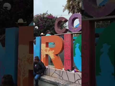 colonia enriquez tepetlan fiesta patronal  san jose veracruz México América día del hombre