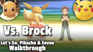 Pewter Gym • Pokémon Let's Go Pikachu & Eevee Walkthrough • Marriland.com