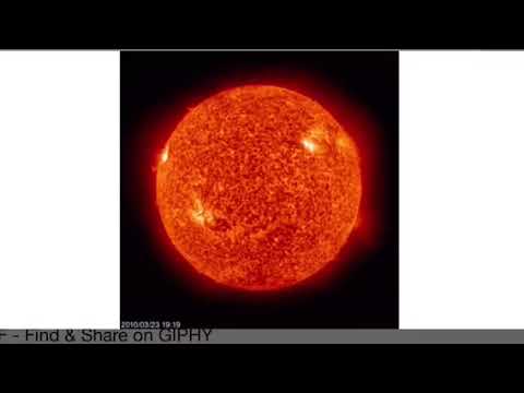 The Backyardigans surfs Up’s