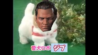 愛犬ロボ　「ジブ」