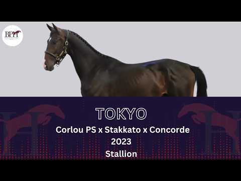 Tokyo
