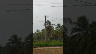 MUITA CHUVA EM ESTÂNCIA SERGIPE. #shorts #sitio