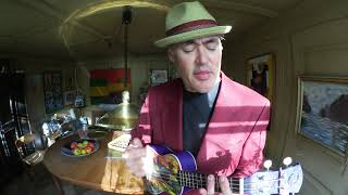 RIOT ACT (Elvis Costello and the Attractions) Solo Ukulele
