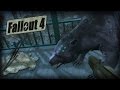 FALLOUT 4 8 Ataque Do Urso INSANO