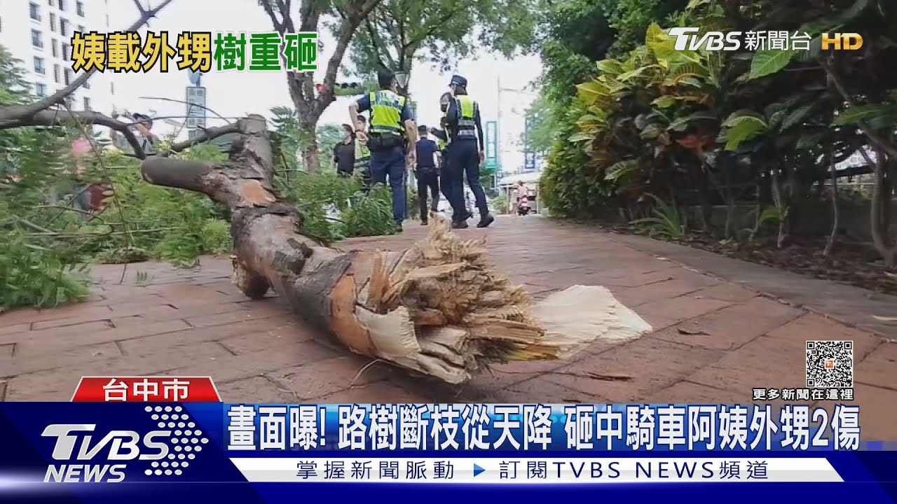 畫面曝!路樹斷枝從天降 砸中騎車阿姨外甥2傷