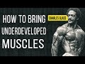 HOW TO BRING LAGGING BODY PARTS.