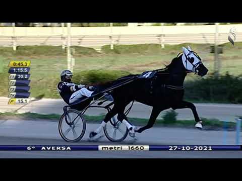 Aversa trotto 27 Ottobre 2021 - 6° Corsa
