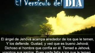 Miniatura del video: El versiculo del dia .com - Salmos 34 v7-9