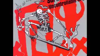 D.I.-Surfin` Anarchy