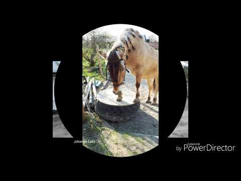 Story von Instagram vom 27.4.19