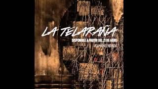 La Telaraña Music Video