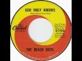 Beach Boys Remix - God Only Knows (only god ...