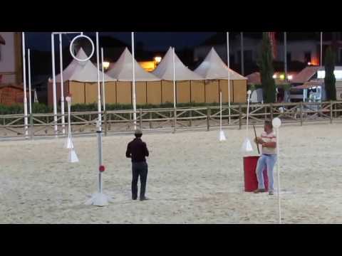 Prova de Velocidade Nicole e Cartier - Ole Golega 2016