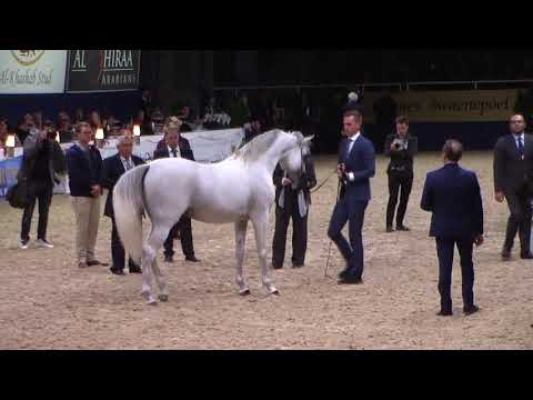Memories of Aachen 2018 - All Nations Cup - Part 3 - Class 10