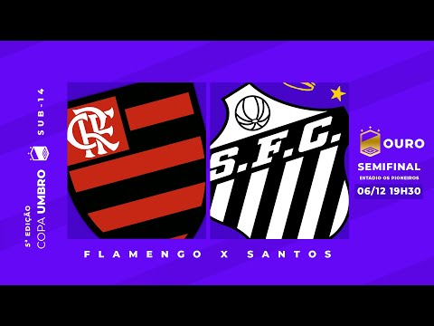 Flamengo x Santos - Semifinal Ouro - Copa Umbro 2025
