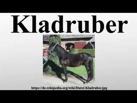, title : 'Kladruber'