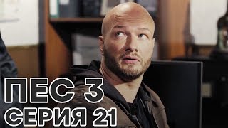 Сериал ПЕС - все серии - 3 сезон - 21 серия - смотреть онлайн