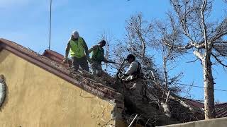 El viento Zonda derribó un árbol sobre el techo de la escuela Comandante Cabot