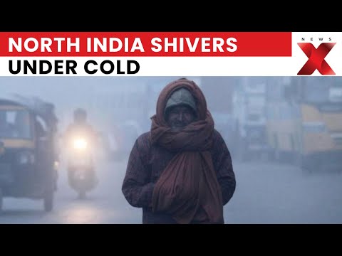 Delhi, North India Freeze Under Cold Wave; Dense Fog Disrupts Roads, Flights, Rail