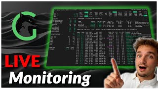 Das Live-Monitoring, dass ich täglich nutze! (Glances) | Setup/Tutorial