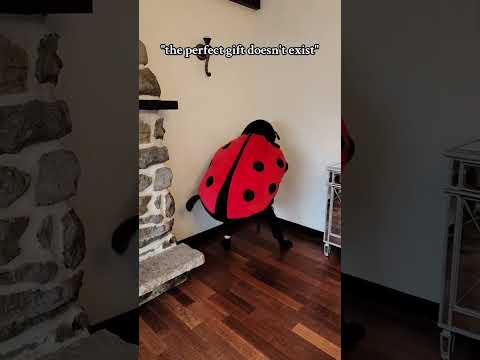 this is the perfect gift #giftforher #wearablepillow #gift