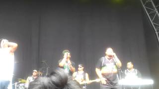 Raggamuffin 2013 Brownhill SWISS Shes Mine