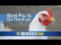 Bird Flu Is On The Rise! 