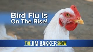 Bird Flu Is On The Rise!
