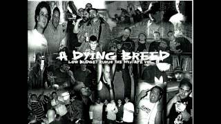 A Dying Breed - Vibe N Skill feat. NonchaLAnt (Rhymestone) & Kzar (Rhyme Fytahs)
