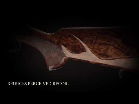 Sauer 404 video