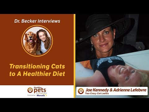 Transitioning Cats to A Healthier Diet With Dr. Becker, Jae Kennedy and Adrienne Lefebvre