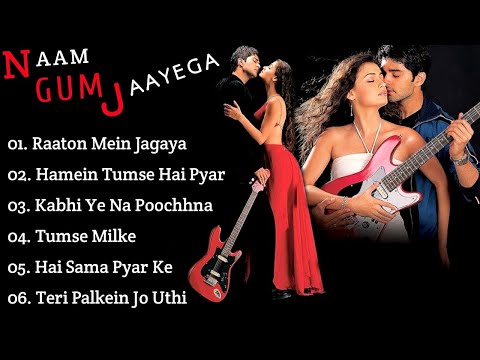 ||Naam Gum Jaayega Movie All Songs||Dia Mirza||Raqesh Bapat||musical world||MUSICAL WORLD||