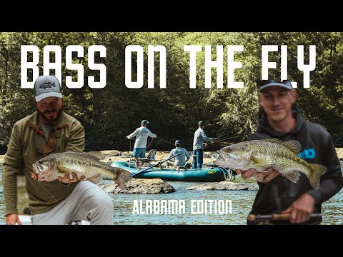 Fly Fishing for Bass | Epic Streamer Fishing! | 5 Bass Species in 3 Days