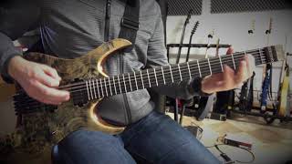 Mayones Hydra Testdrive: Sevendust - Burned out (play along)