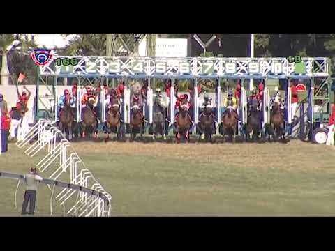 RM16 R6 - Nottinghamshire(Jp.vanderMerwe)