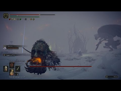 ELDEN RING Mimic Tear Ashes +10 vs Black Blade Kindred NG+