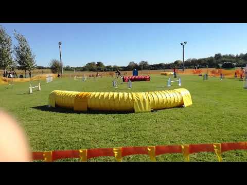 2018.09.30.Kraft open jumping Zuzmó első A1-es futama