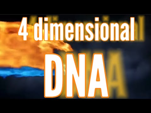 4 Dimensional DNA￼