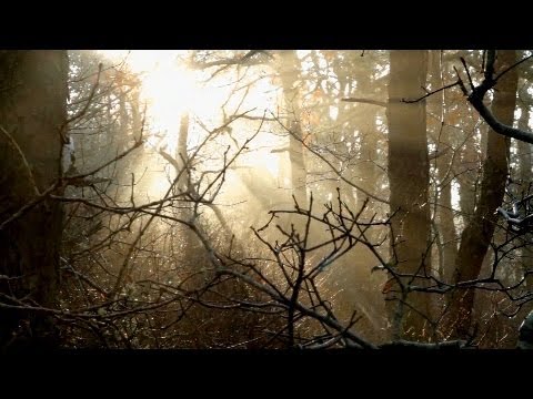 Tired Today - Mars Argo