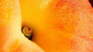Kasey Taylor - Peaches (Original Mix)