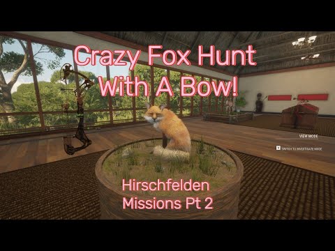 Hunting an elusive fox with a bow on Hirschfelden!